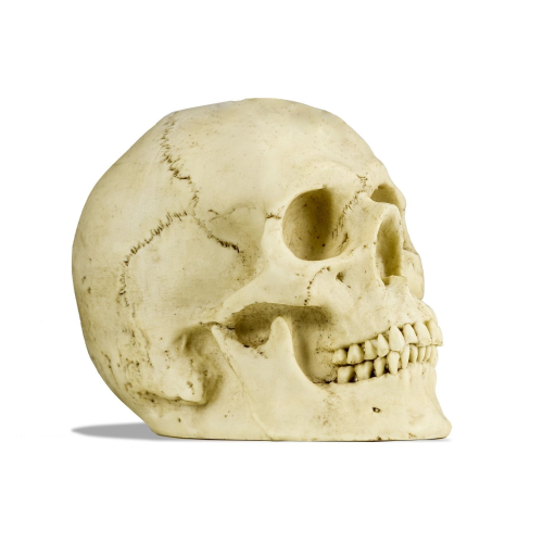 Deko Skull