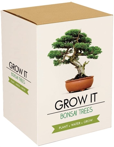 GROW IT -  Bonsai Bäume