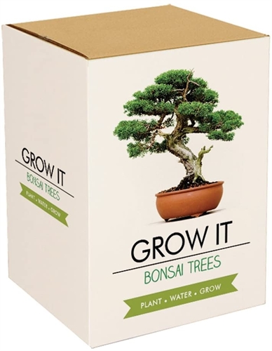 GROW IT -  Bonsai Bume