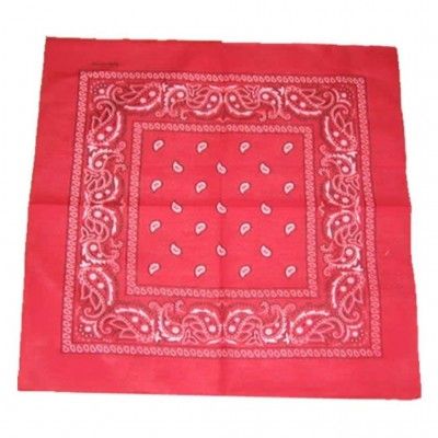 Paisley - Bandana