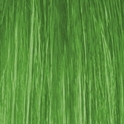 Stargazer - African Green, Haartönung