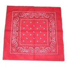 Paisley - Bandana
