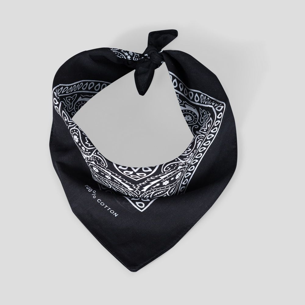 Paisley - Bandana