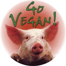 Go Vegan - Button