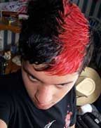Manic Panic - Wildfire, Haartnung