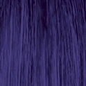 Stargazer - Violet, Haartönung